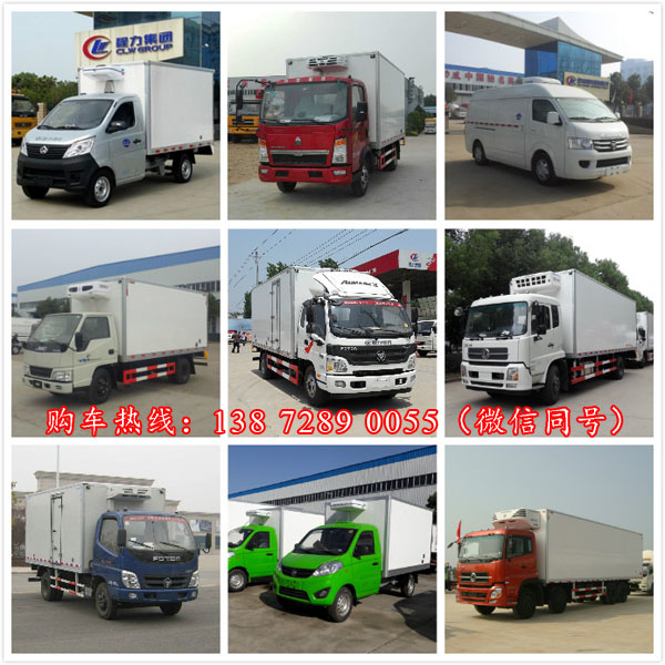 湖北程力冷藏车